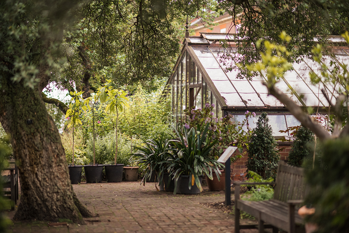 Chelsea Physic Garden (1)