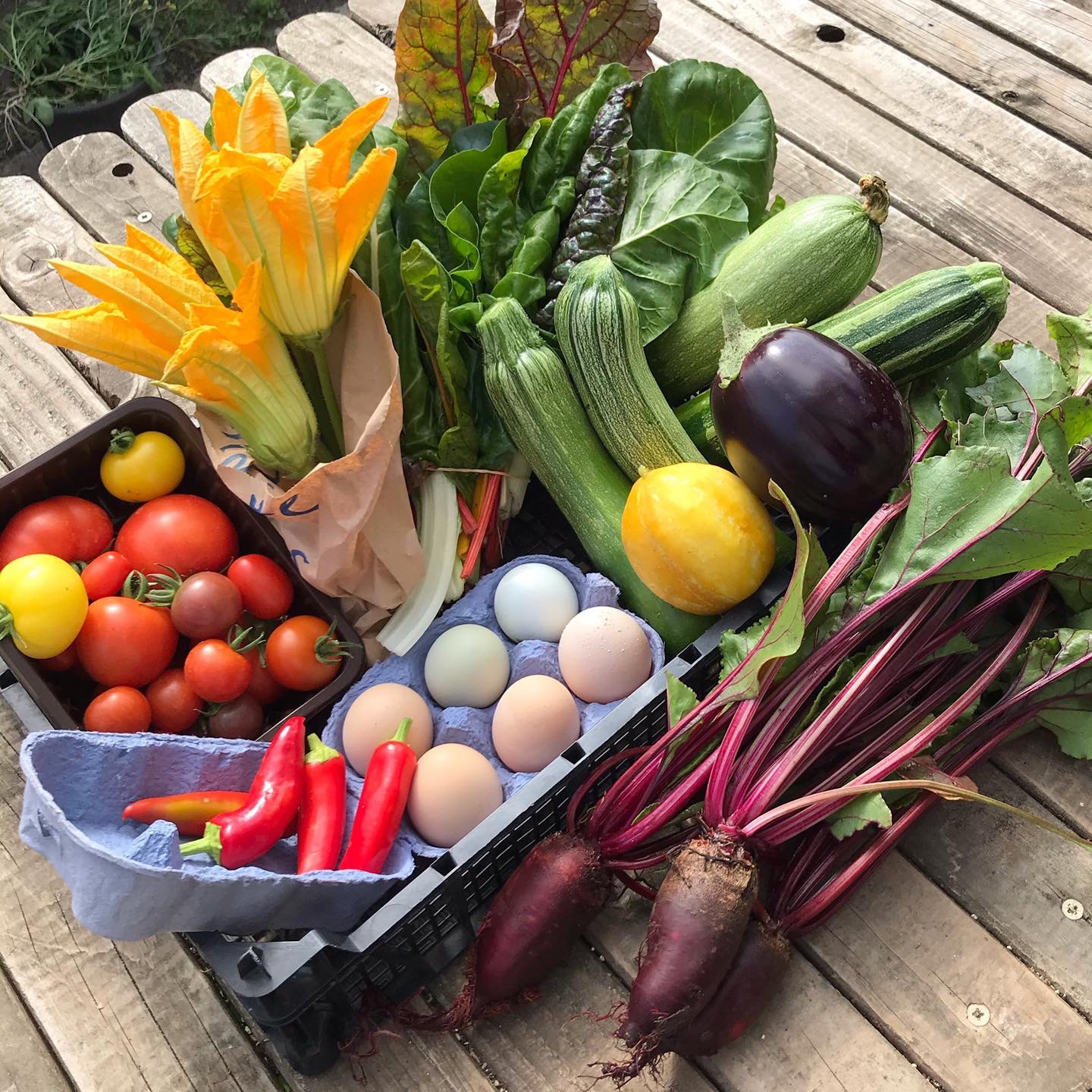 Surrey Docks Farm