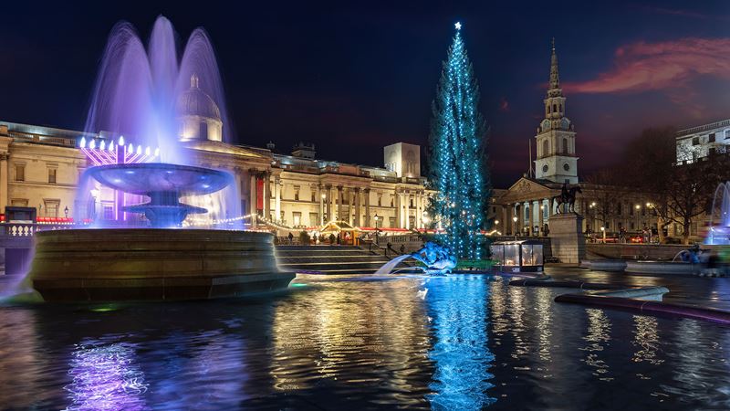 Trafalgar Square Christmas Tree