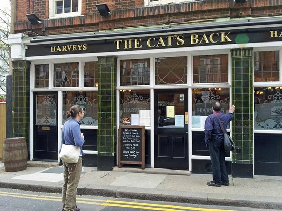 The Cat S Back